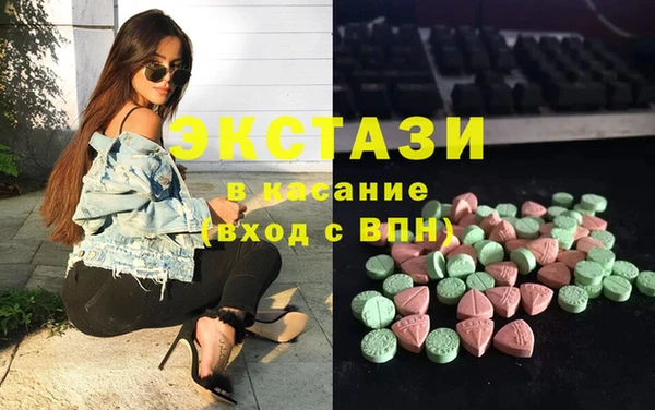 ECSTASY Бородино